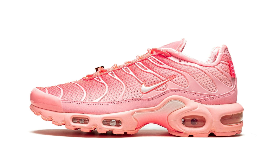 Nike Air Max Plus Atlanta Sneakers Daddy