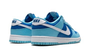 Nike Dunk Low Argon