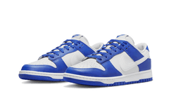 Nike Dunk Low Kentucky Alternate