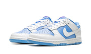 Nike Dunk Low Reverse UNC