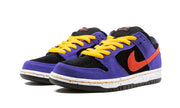 Nike SB Dunk Low ACG Tera